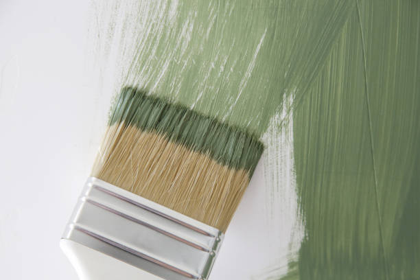 Best Attic Mold Removal  in Fort Wright, KY