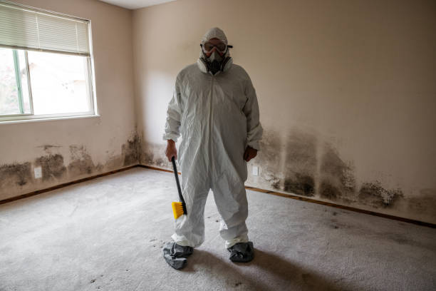 Best Commercial Mold Inspection  in Fort Wright, KY