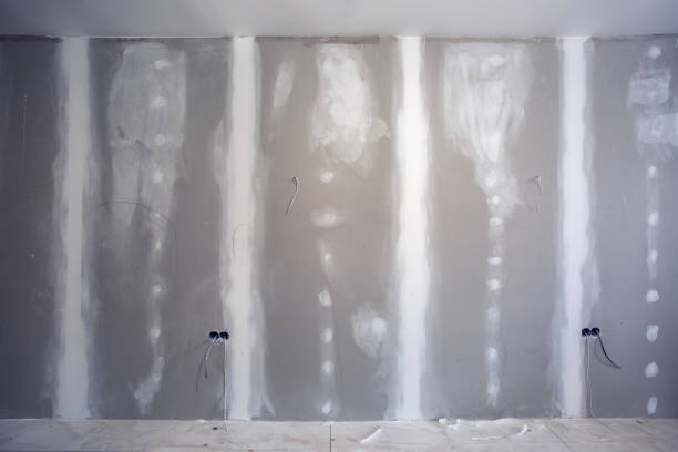 Best Black Mold Removal  in Fort Wright, KY